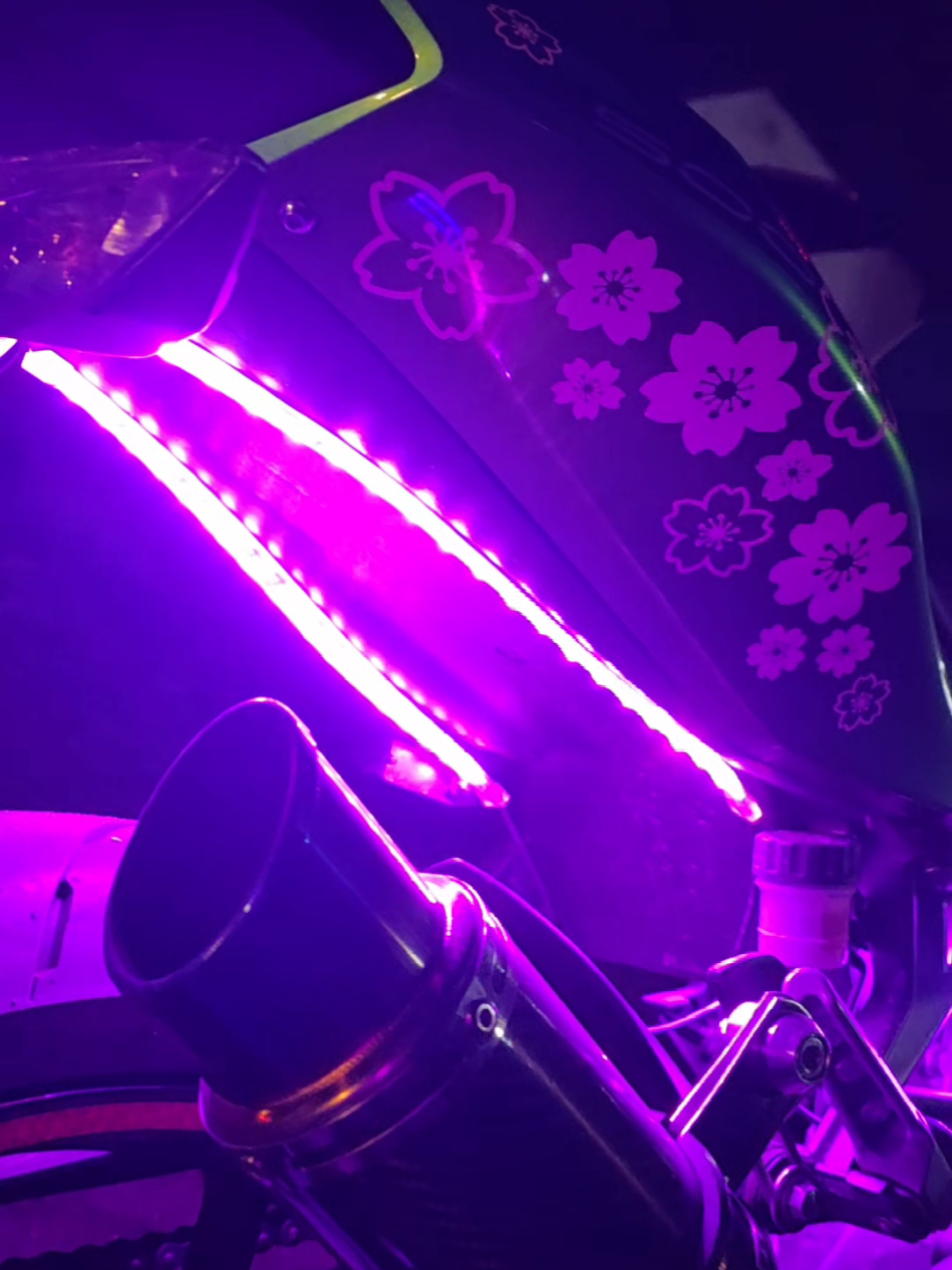 @Kimi ✨🏍️🐾💕⭐