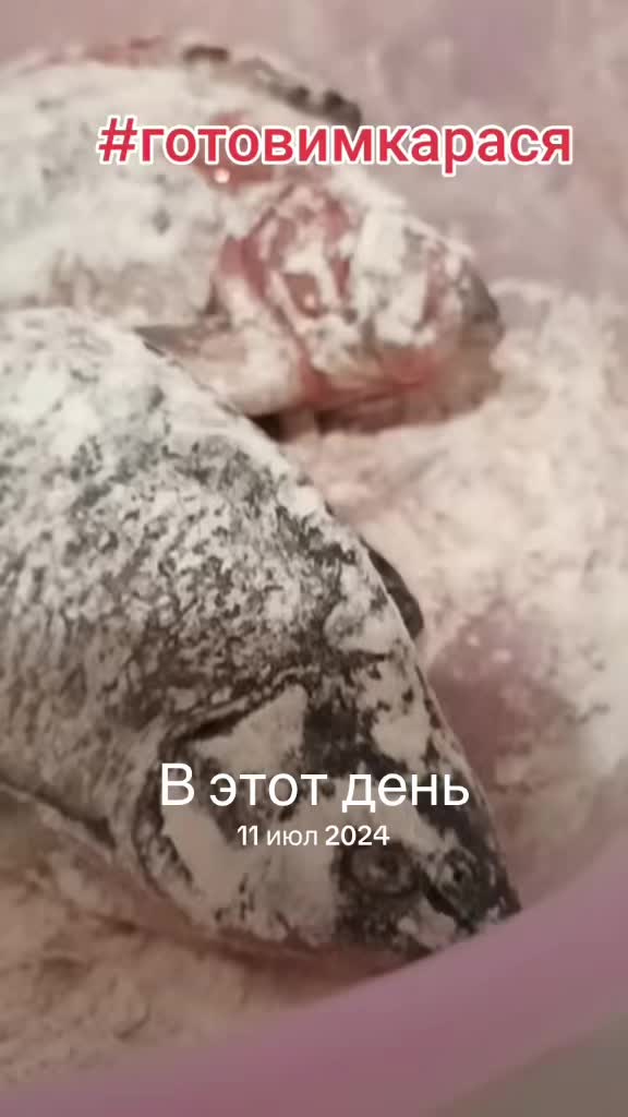 @Radomirovich