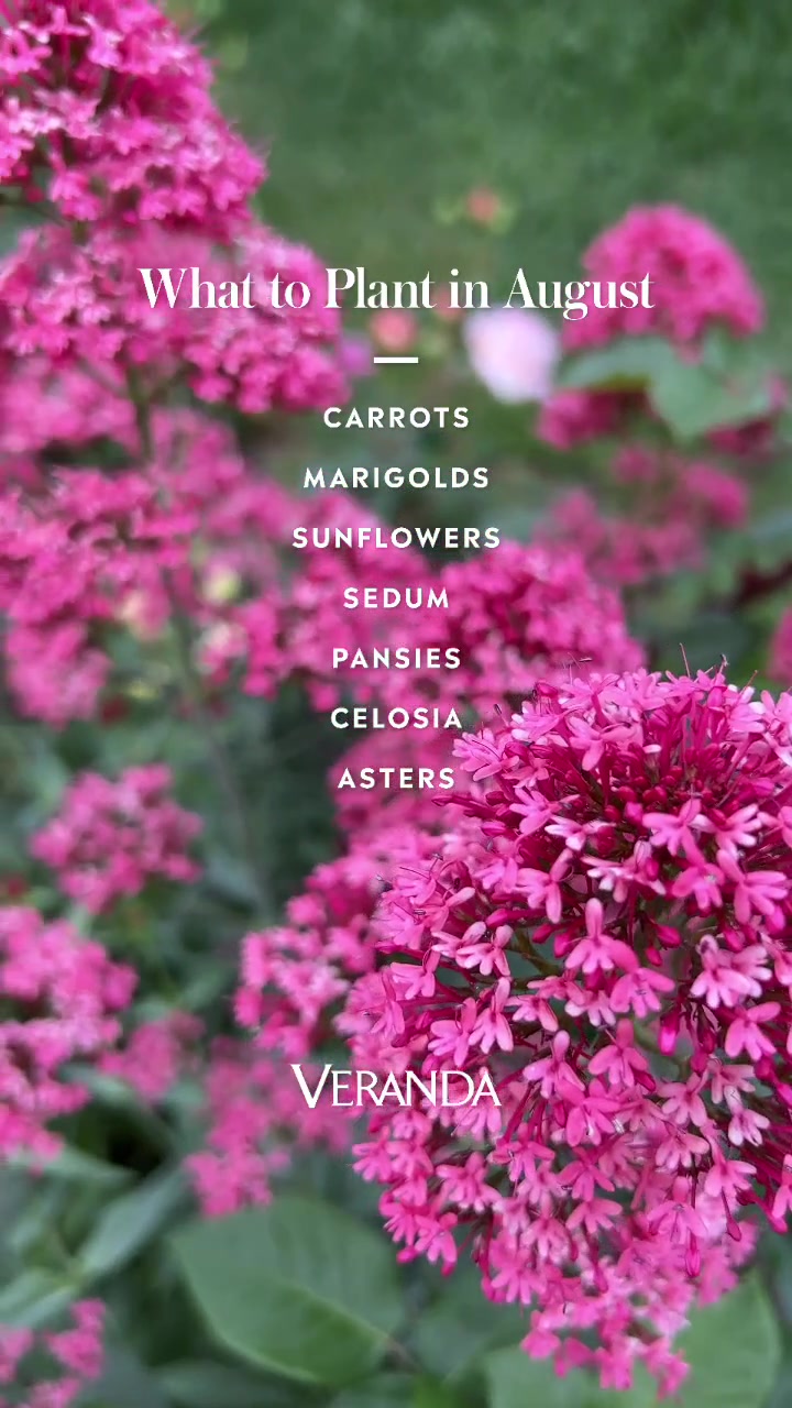 @VERANDA