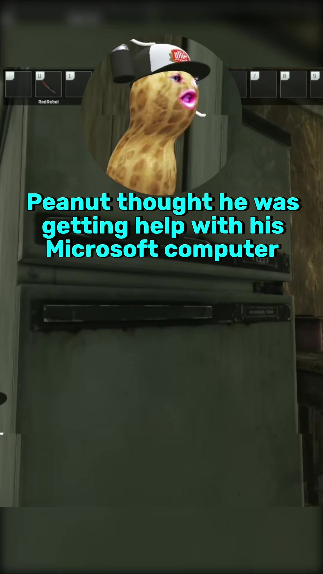 @PeanutClips_Daily
