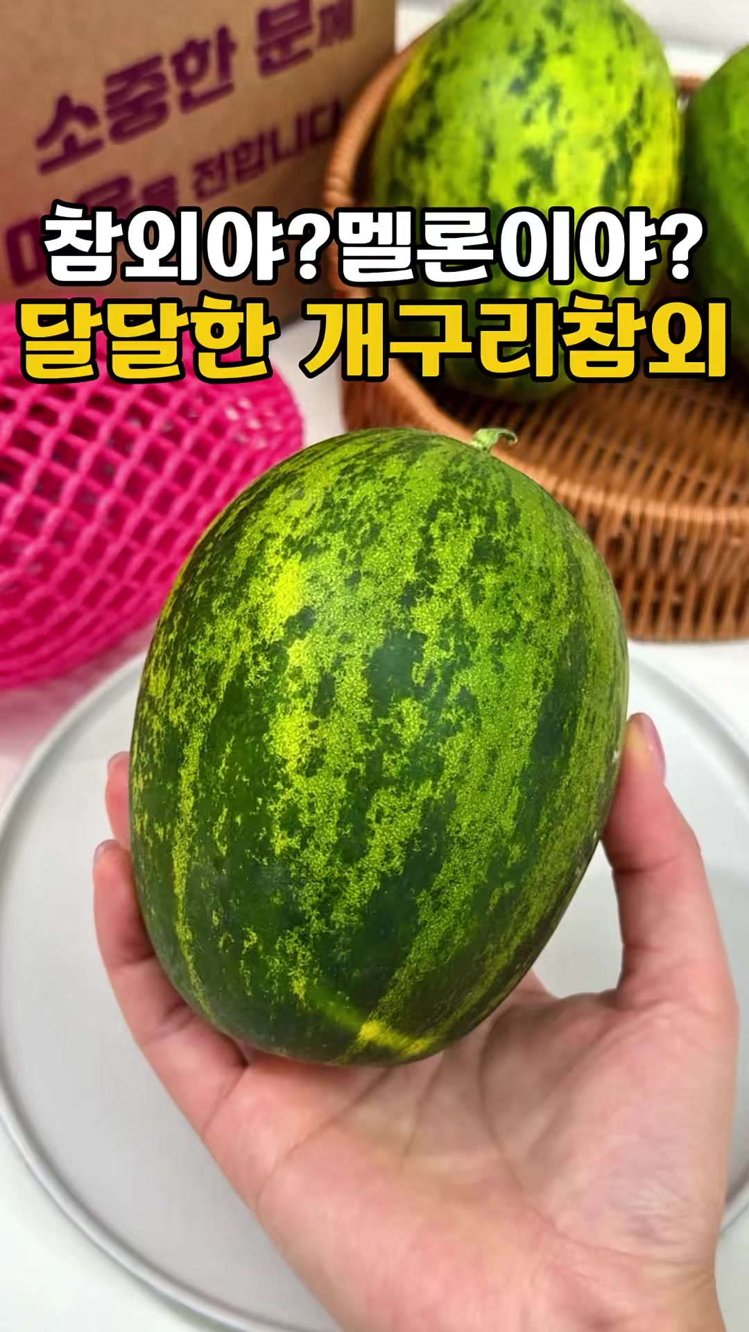 @싱싱햇 - 365일 싱싱한 햇 제철 먹거리