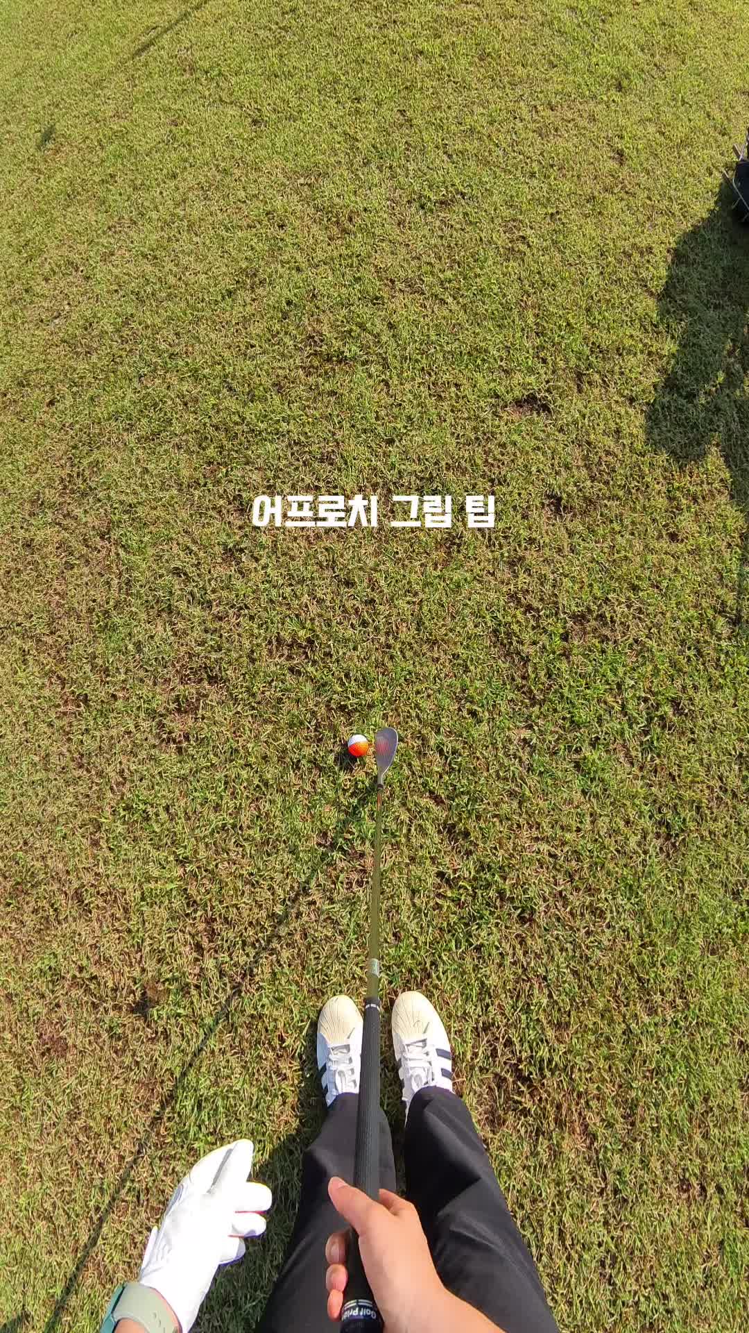 @권형주프로