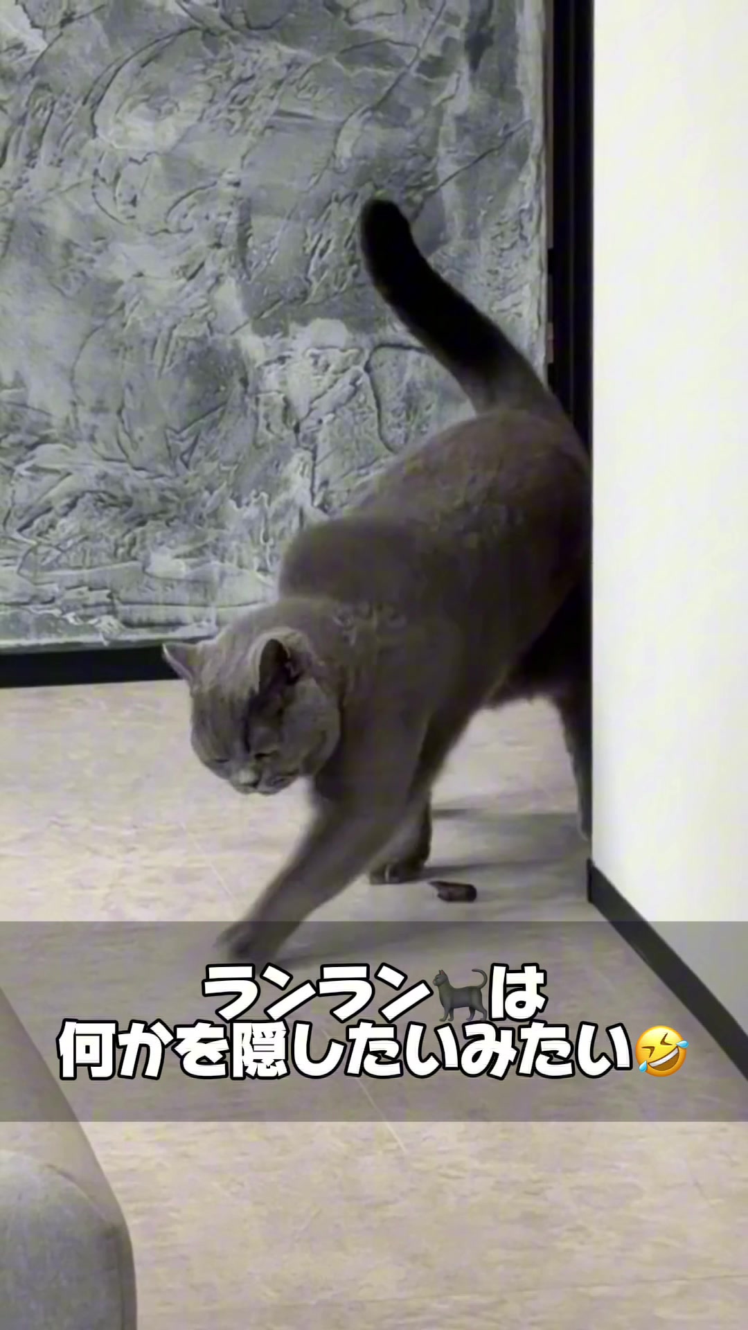 @ãºãå
çððïž