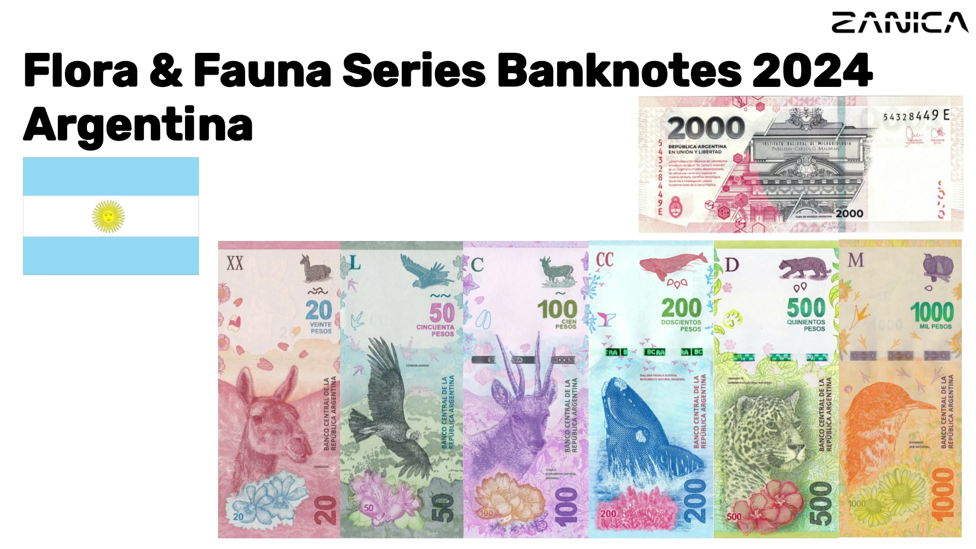 @Zanica.ca
