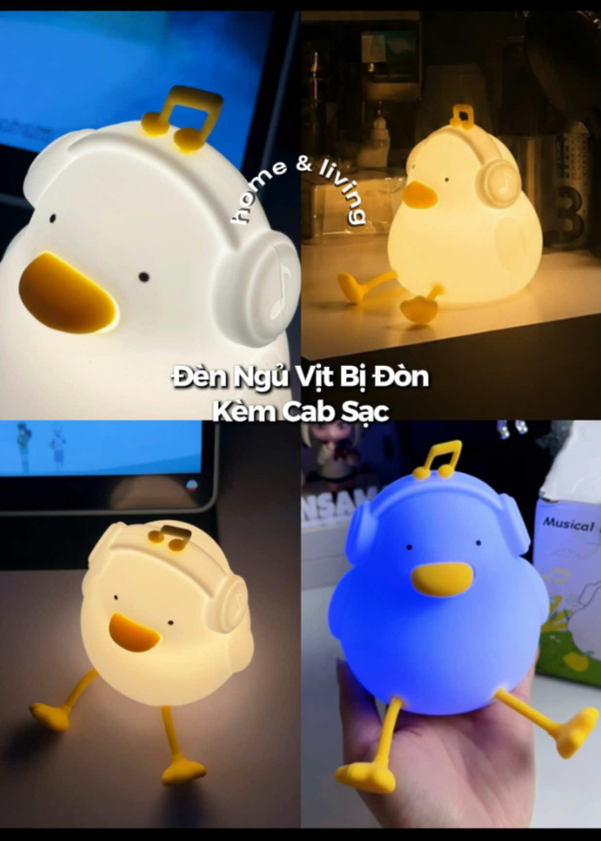 @٠࣪⭑ Hui Yin Chuột Bạch Ი︵𐑼