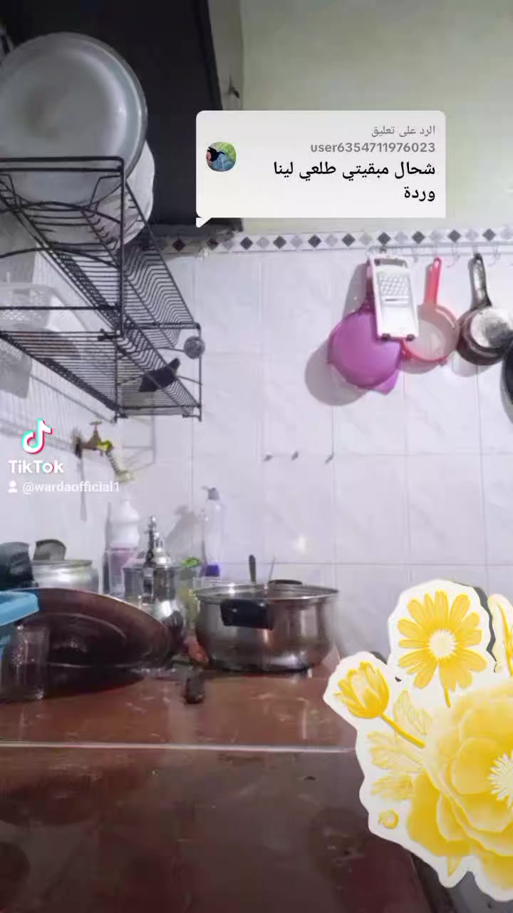 @وردة الجنوب اوفيسيل1