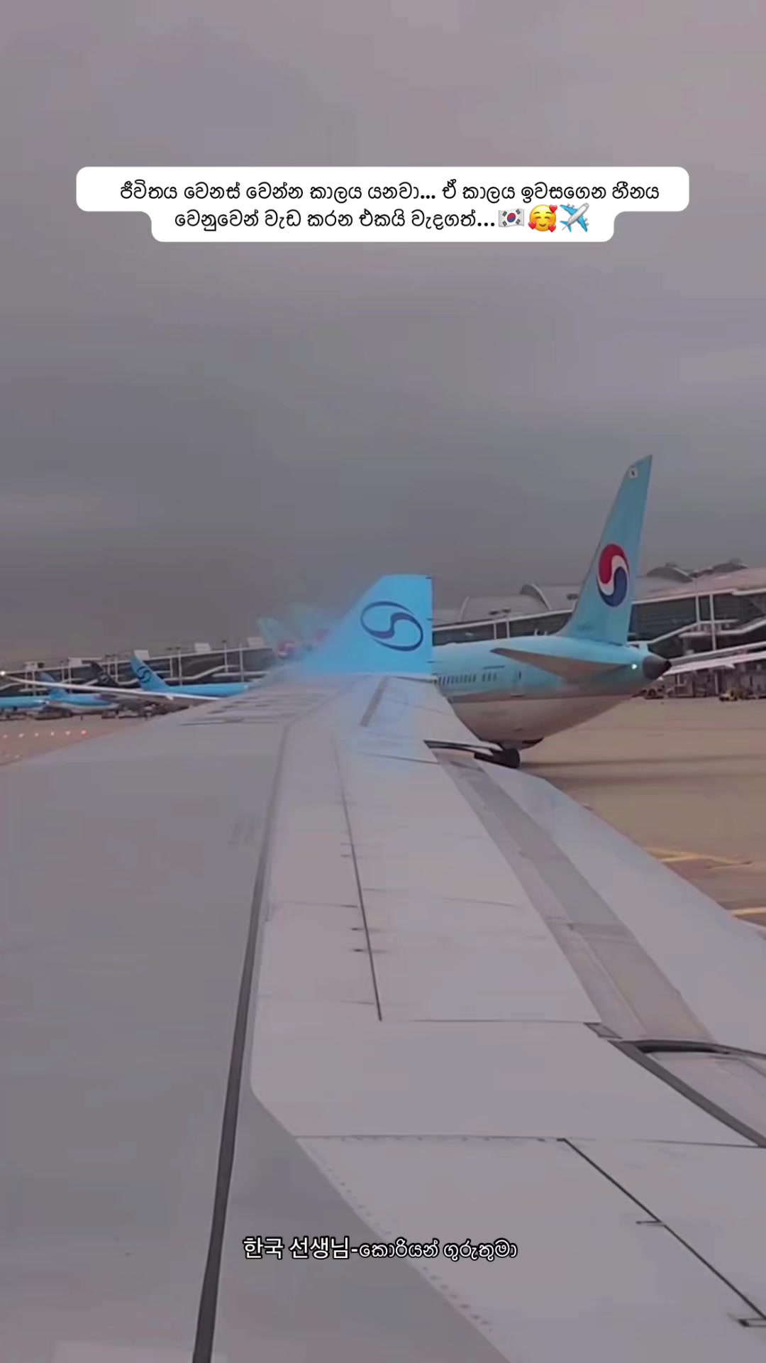 @한국 선생님 -කොරියන් ගුරුතුමා