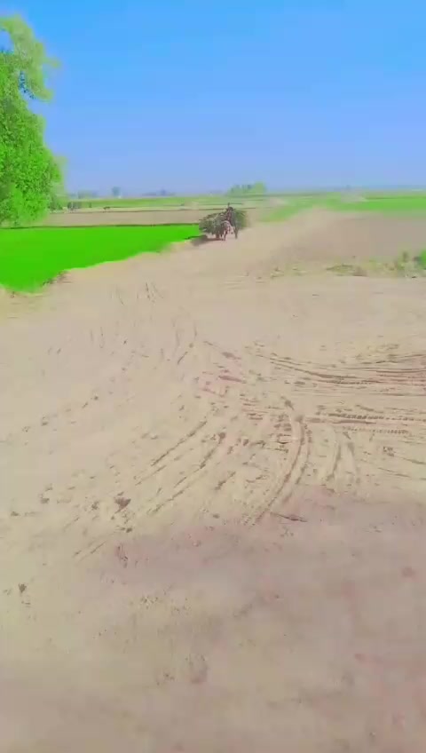 @Farooq gujjar722
