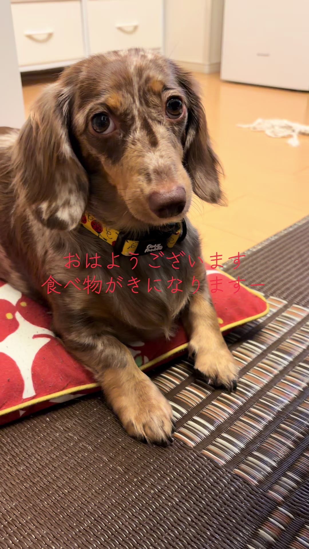 @ケン