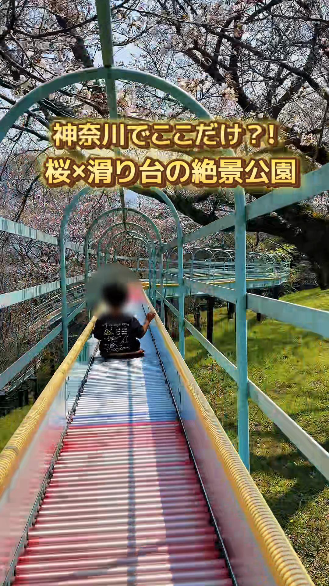@みなこ 神奈川発 子連れお出かけ