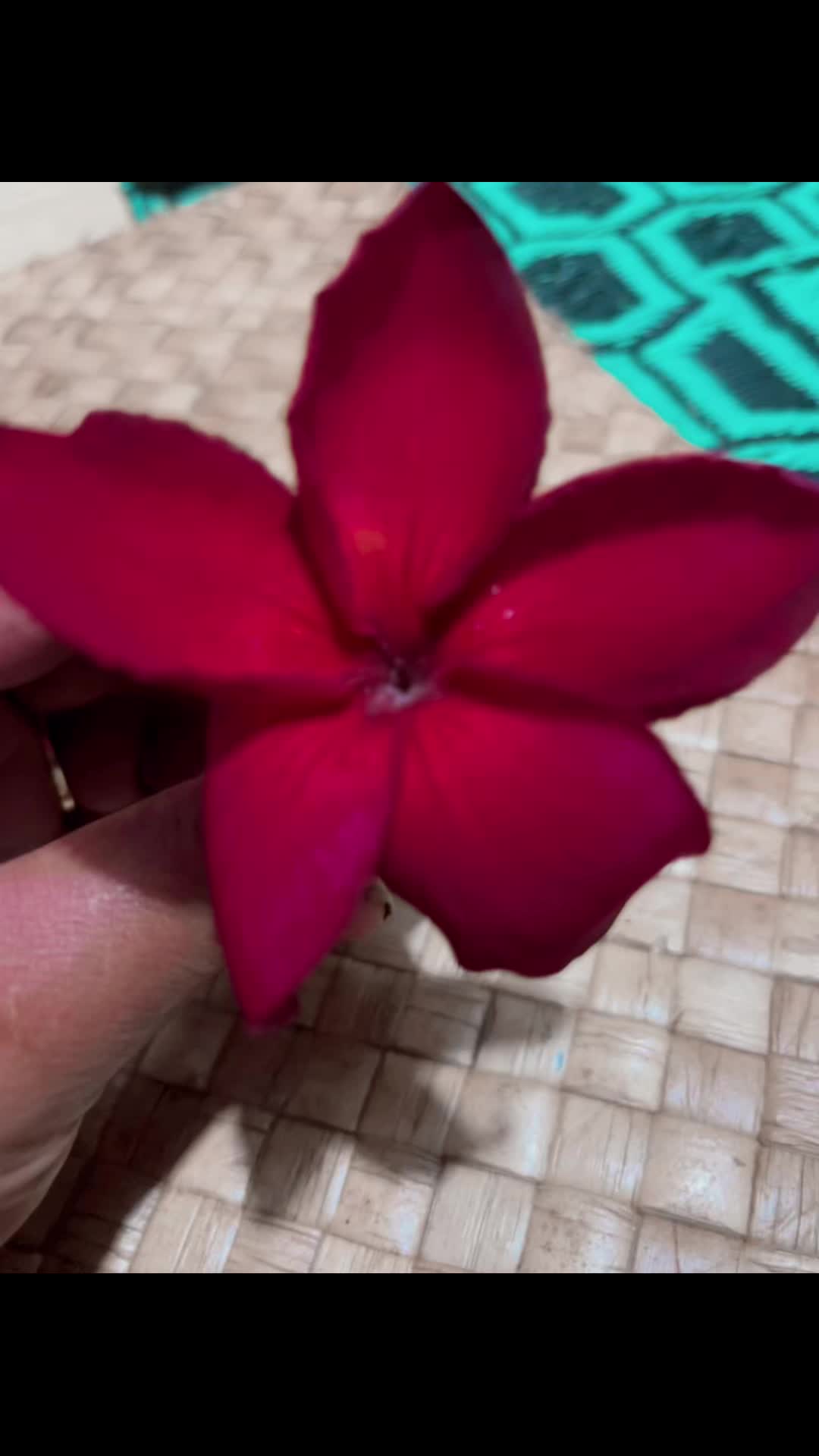 @ItmeElio👌