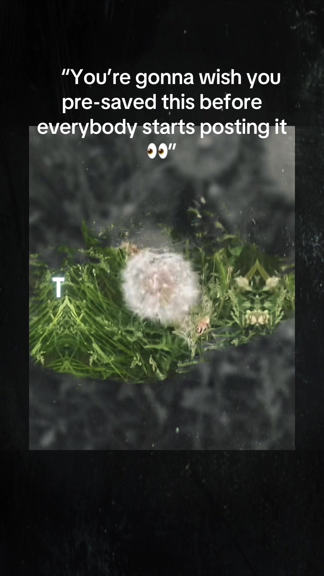 @_wise16
