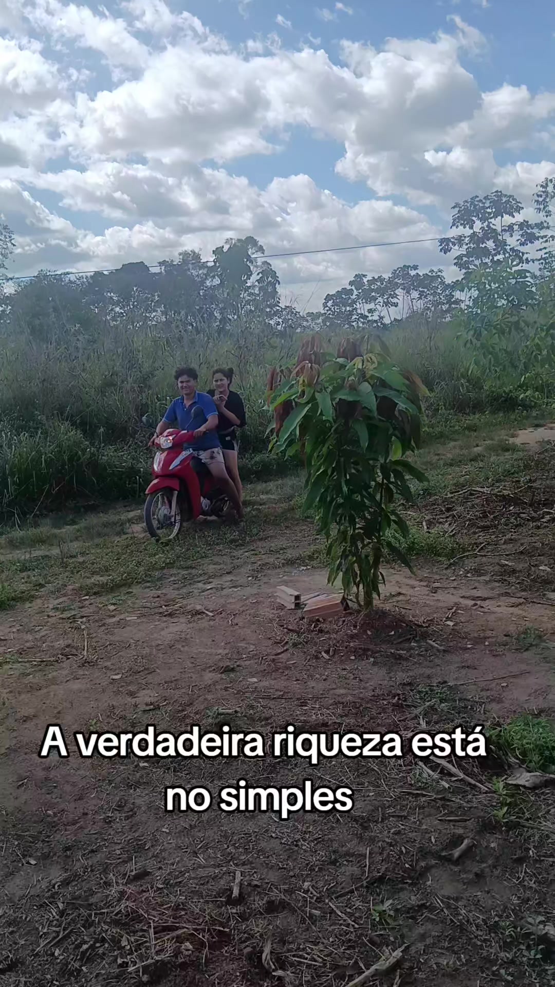 @taina e thania