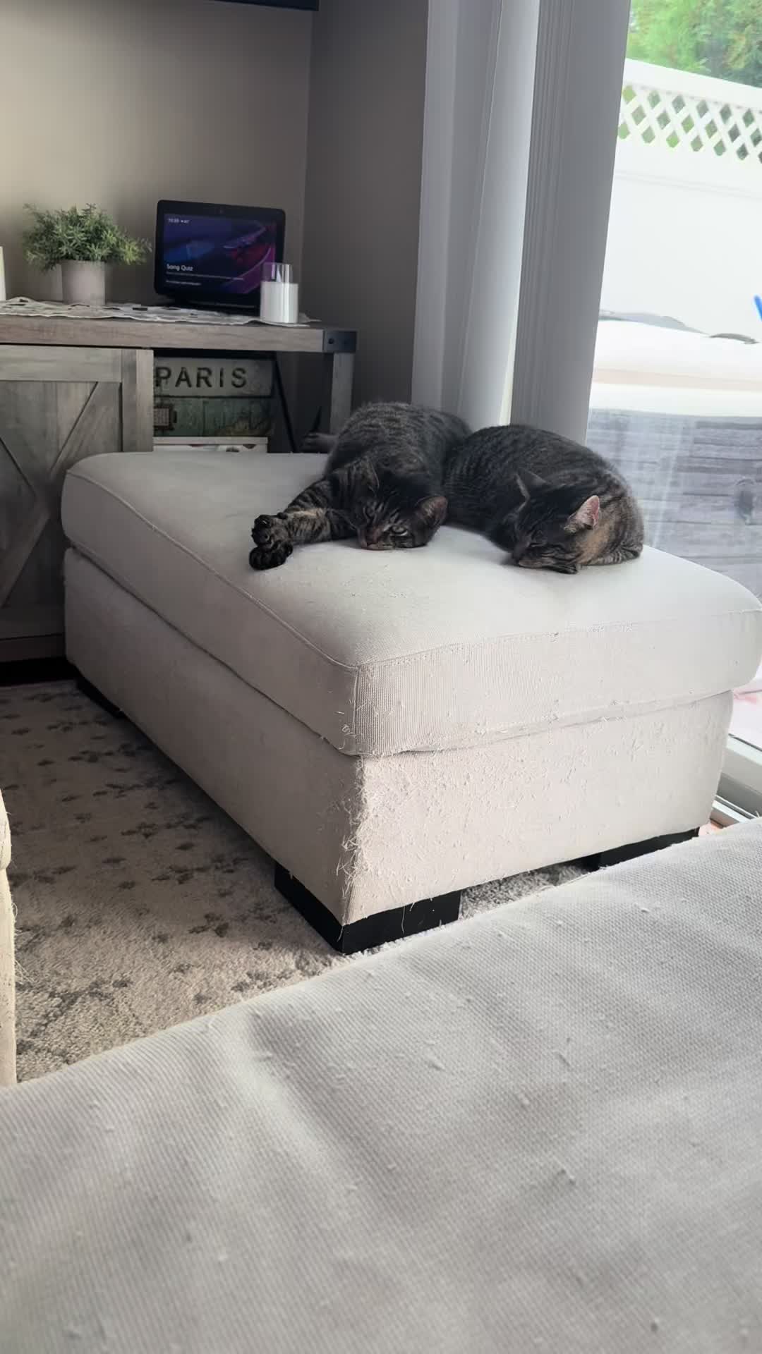@TailsandWhiskersCo
