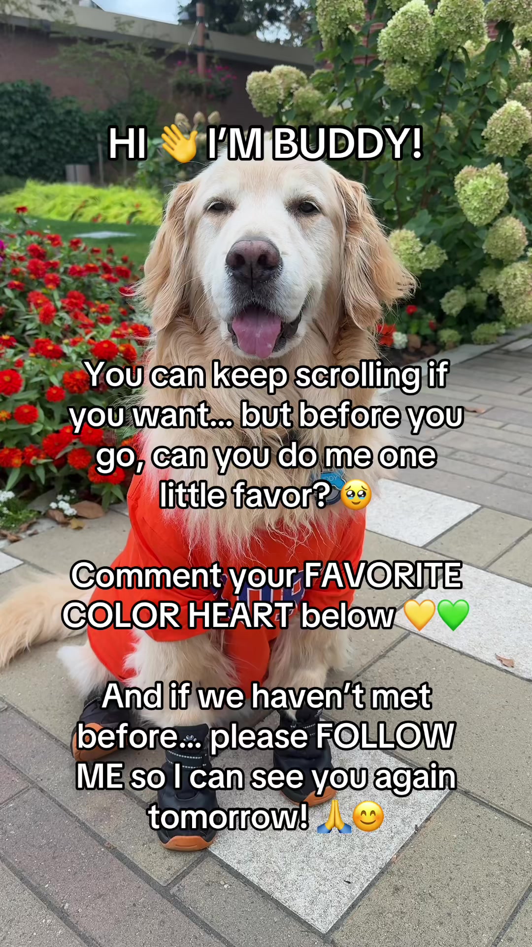 @A Golden and Fam