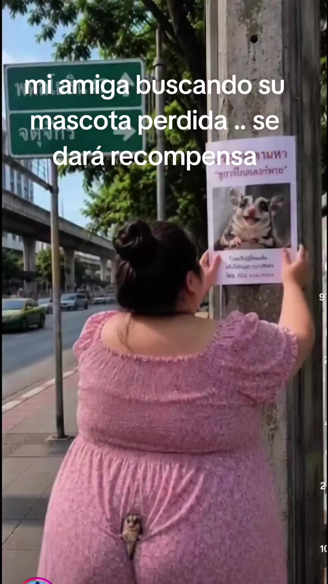 @G .. maldonado
