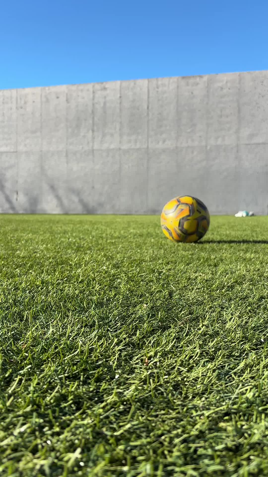 @Ping FC