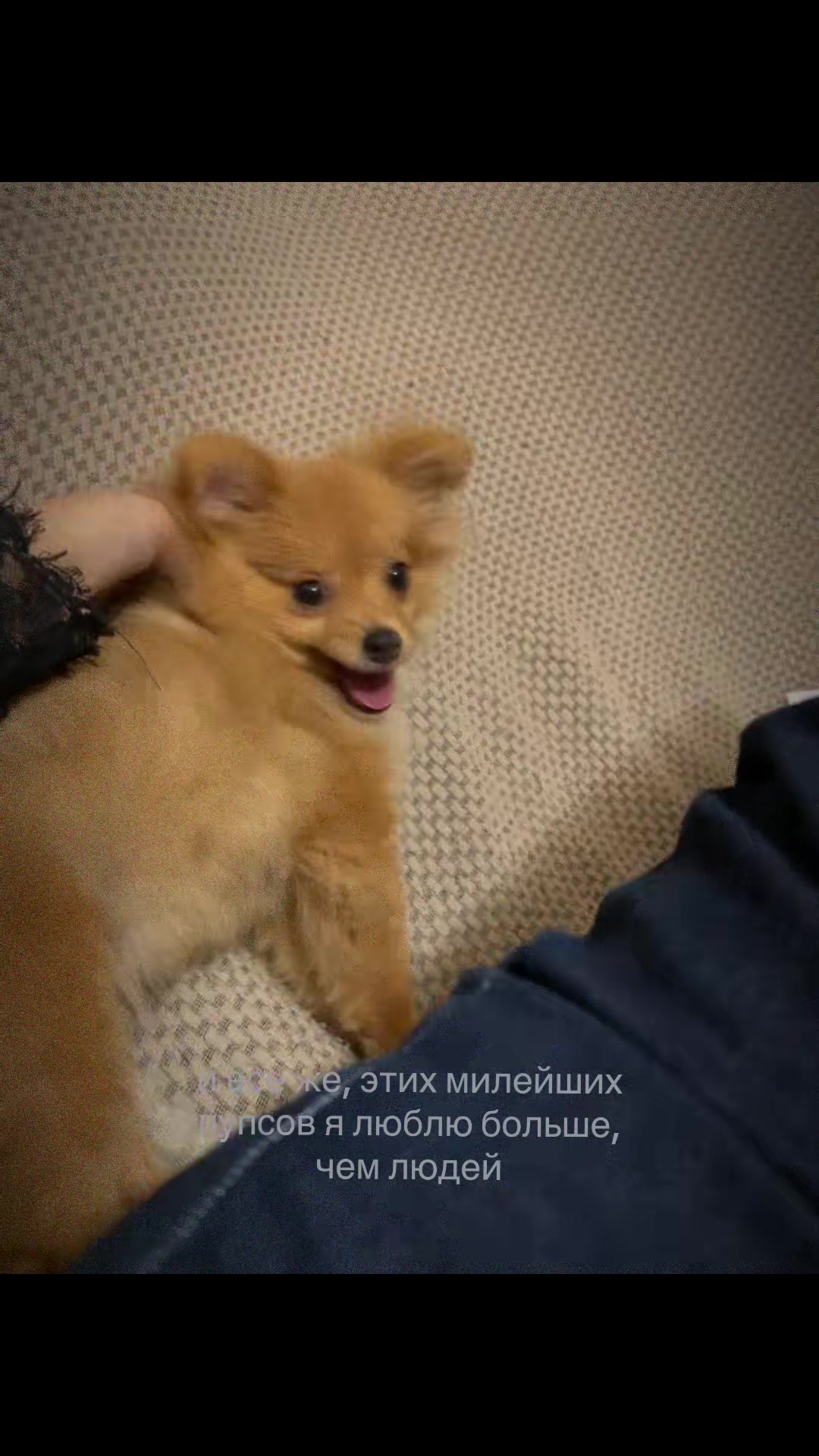 @lizuuuusss