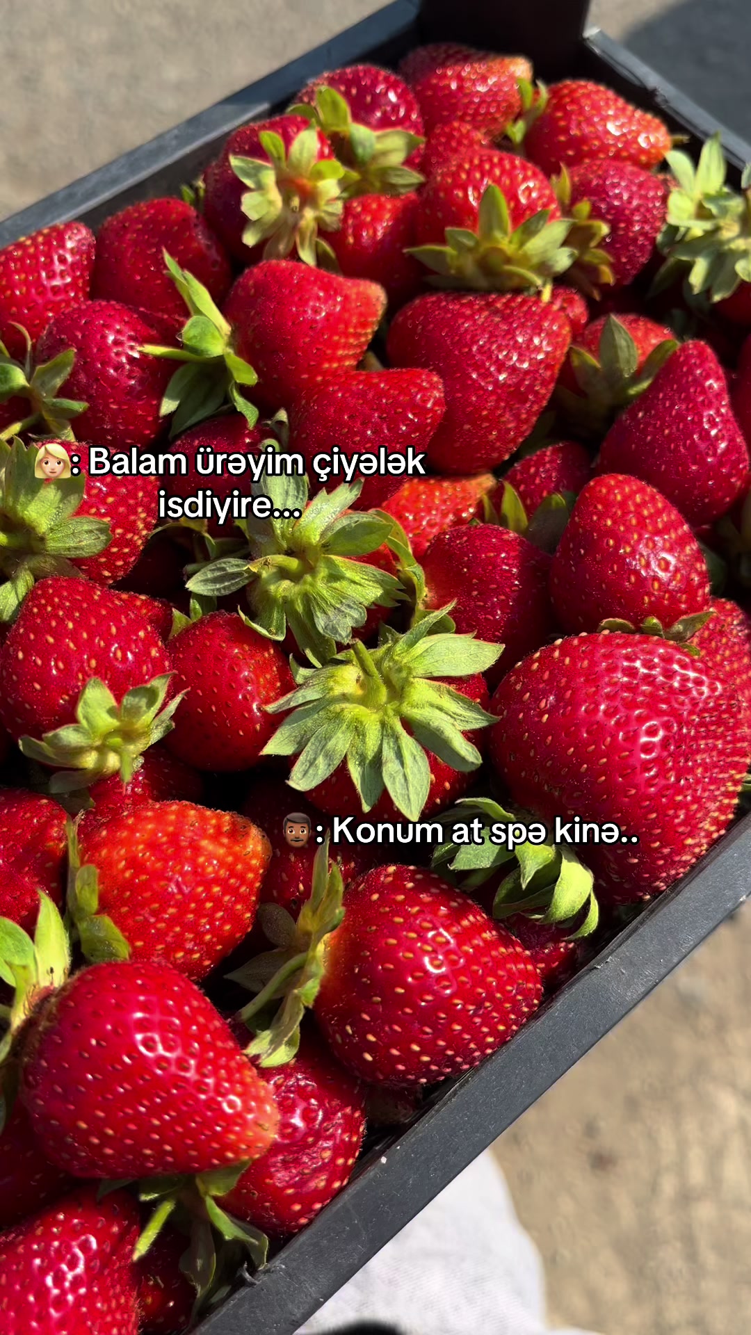 @42.eliwka