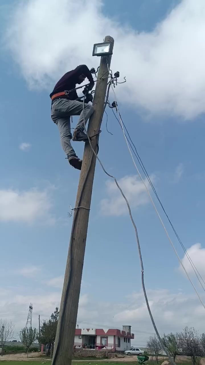@ibo buzağıcı