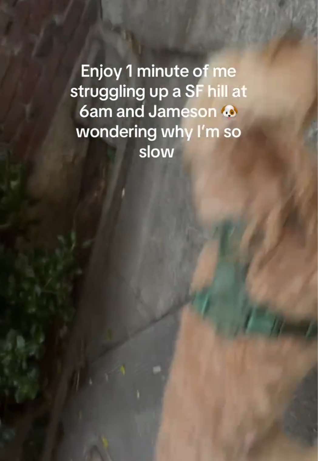 @Rachel | San Francisco 🫶