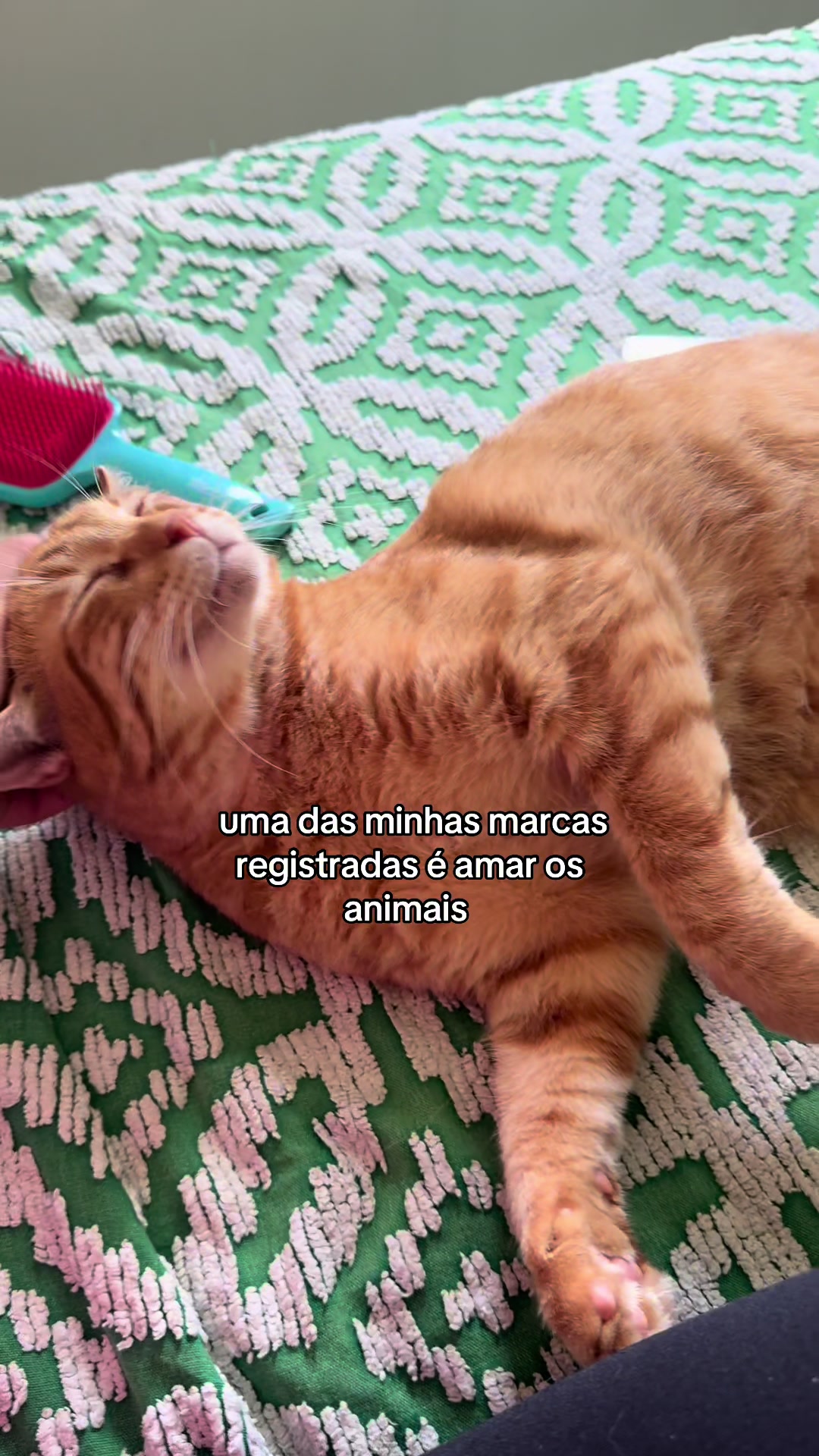 @Fernanda d’Oxum🌻