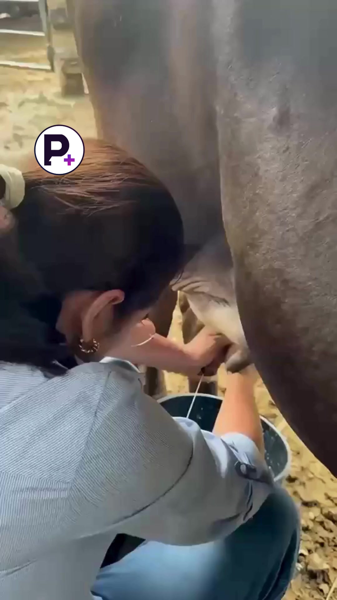 @Pol&iacute;tika