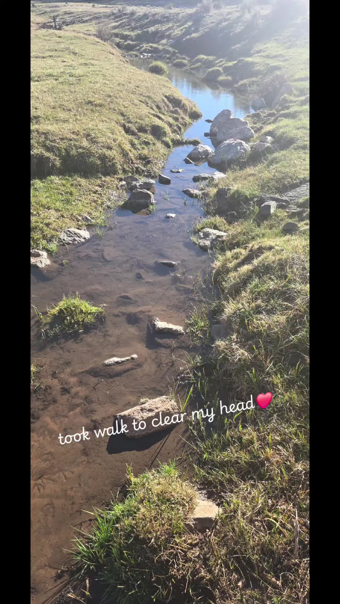 @Crystal Gutierrez