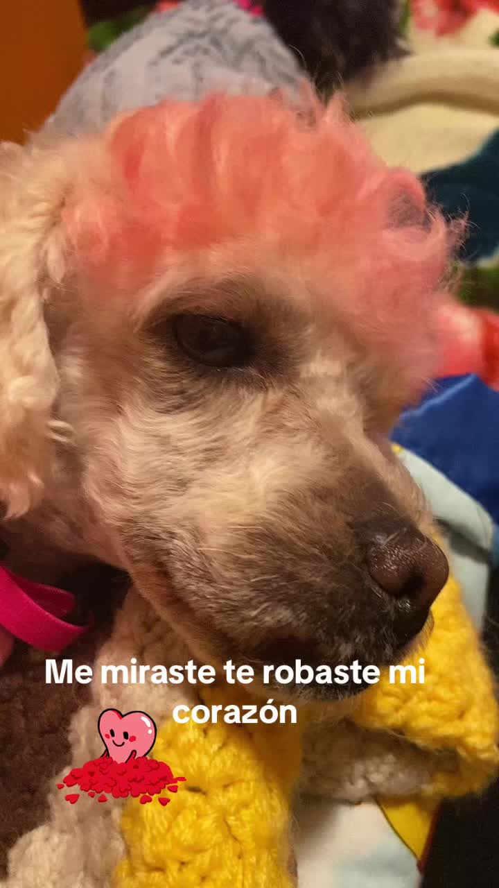 @Adi Robles