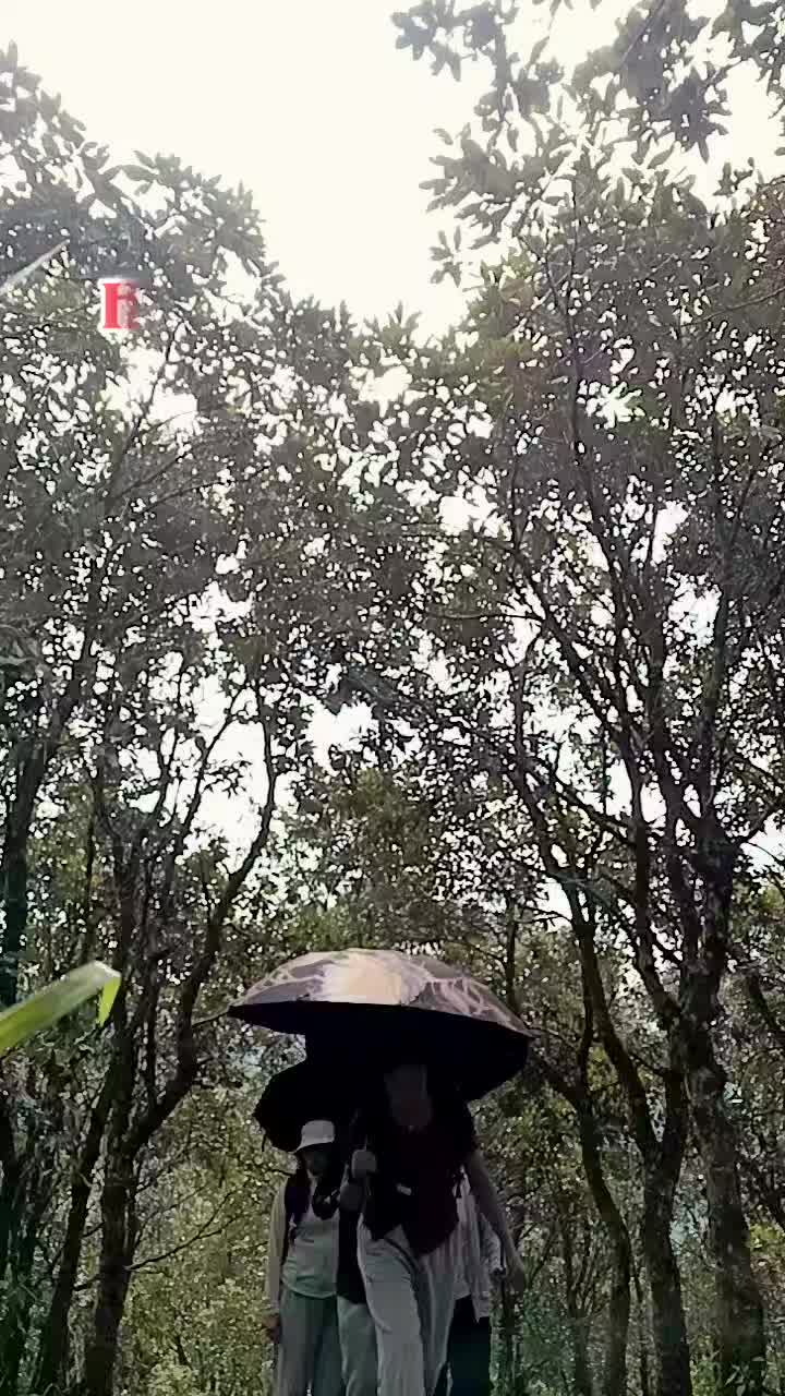 @Nita Rajbanshi