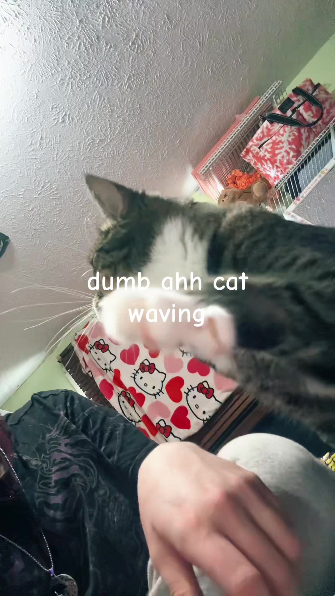 @youngho