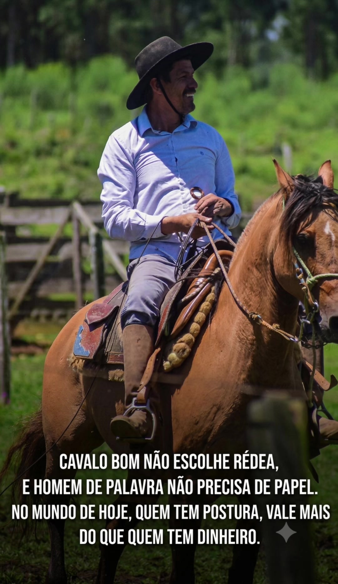 @Ga&uacute;cho da Ro&ccedil;a