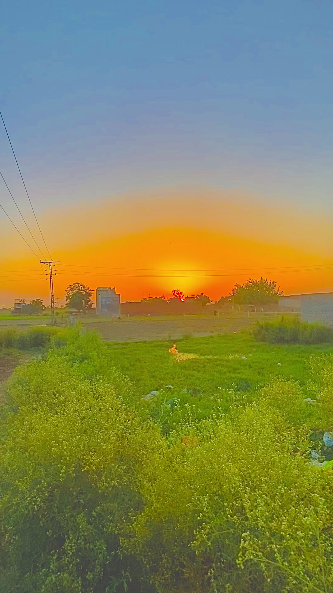 @🥬🎗️پنڈاں آے 🌺