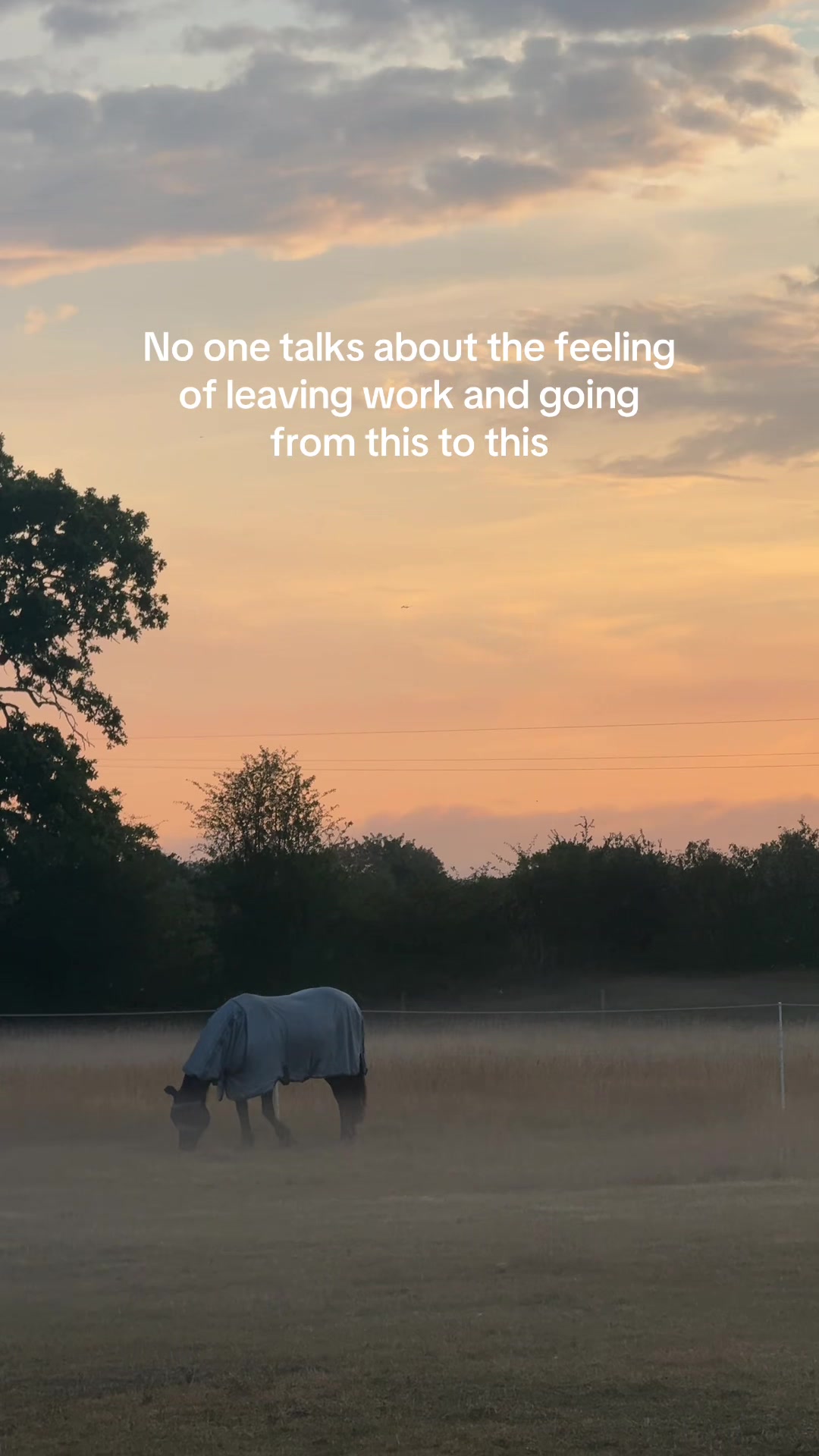 @lifelunaandlandscapes