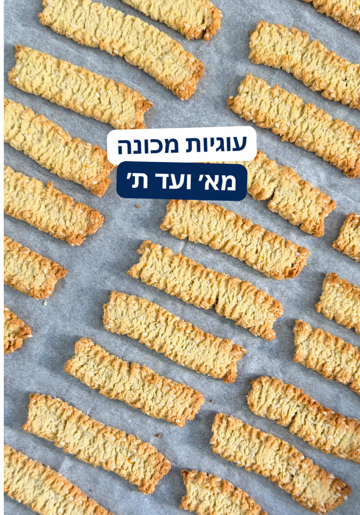 @רובי מיכאל Rubi Michael