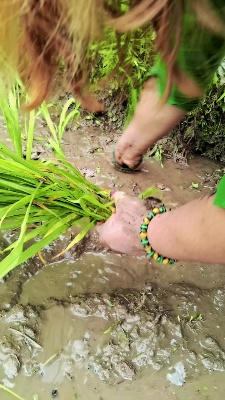 @Kalpana Sapkota