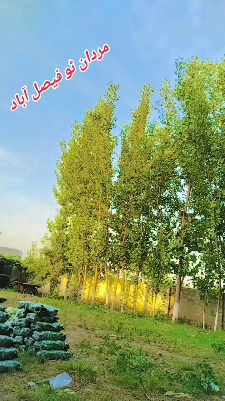 @🔥✨💯AbRar NiHalka🫀🌹