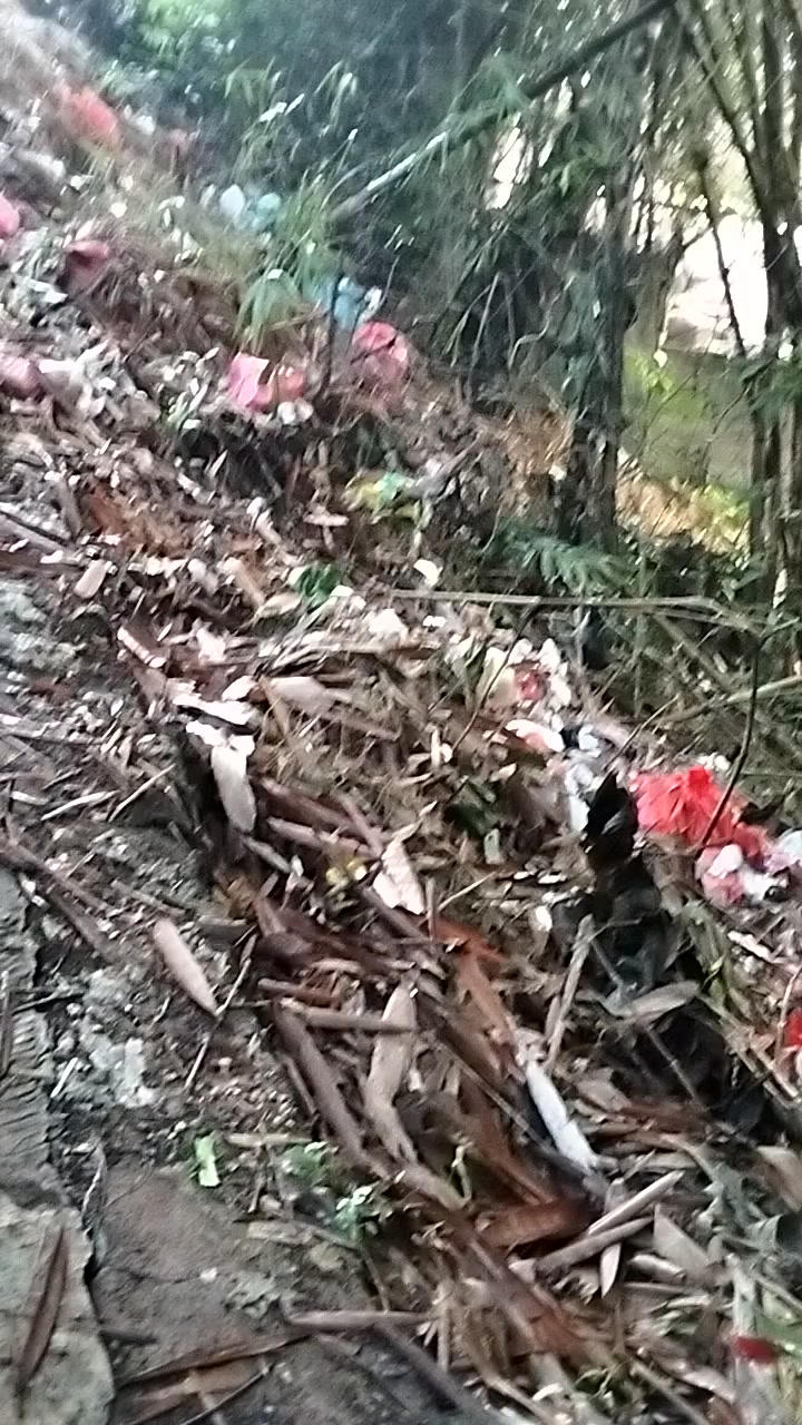 @padangzambrud