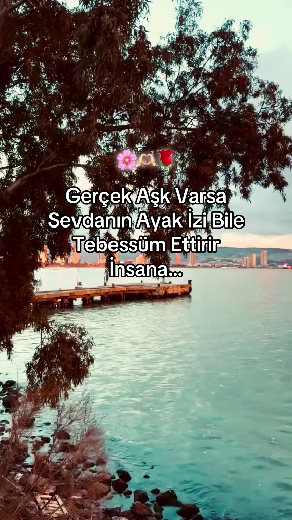 @storhanem63.01