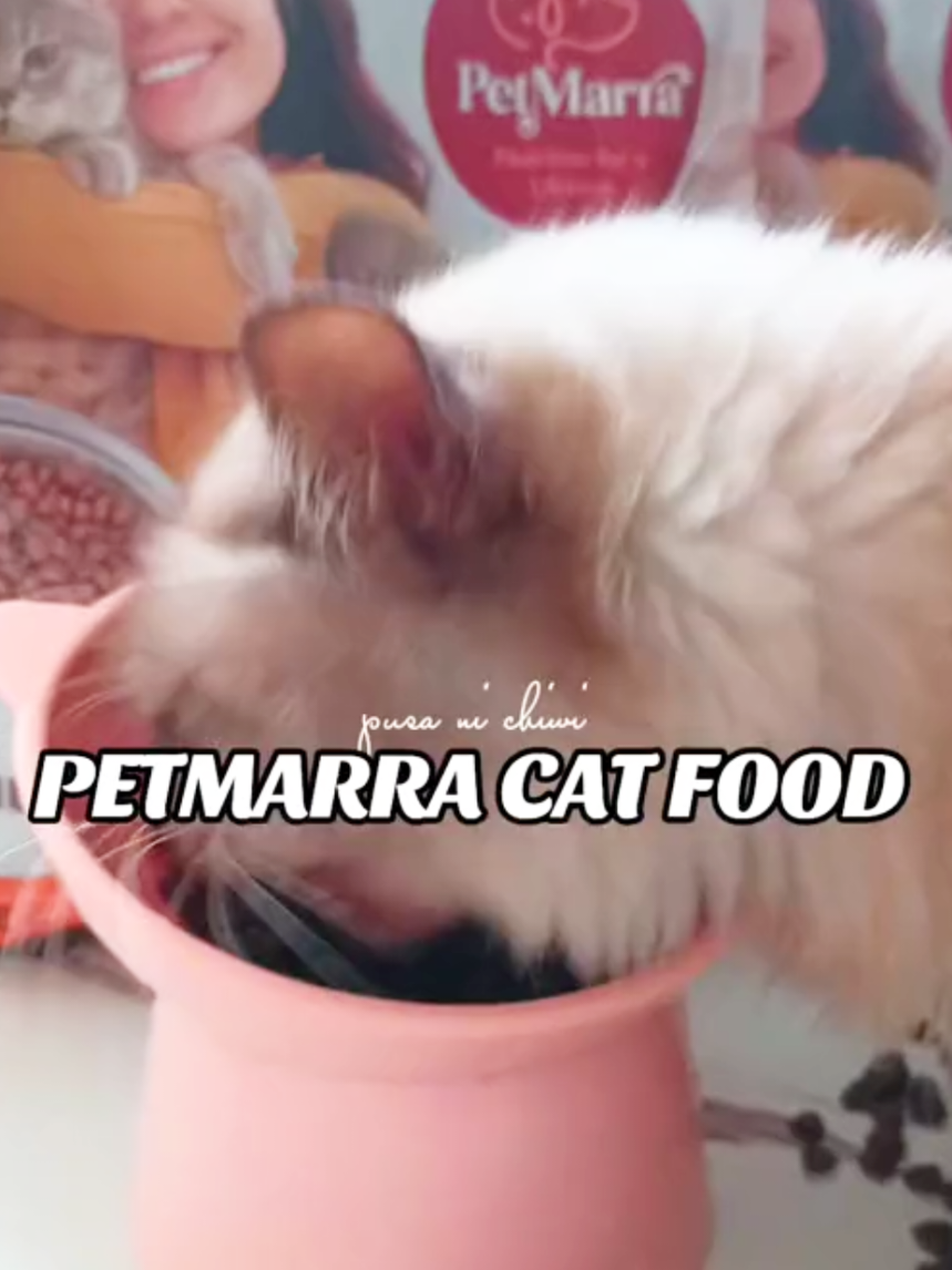 @Pusa ni Chiwi