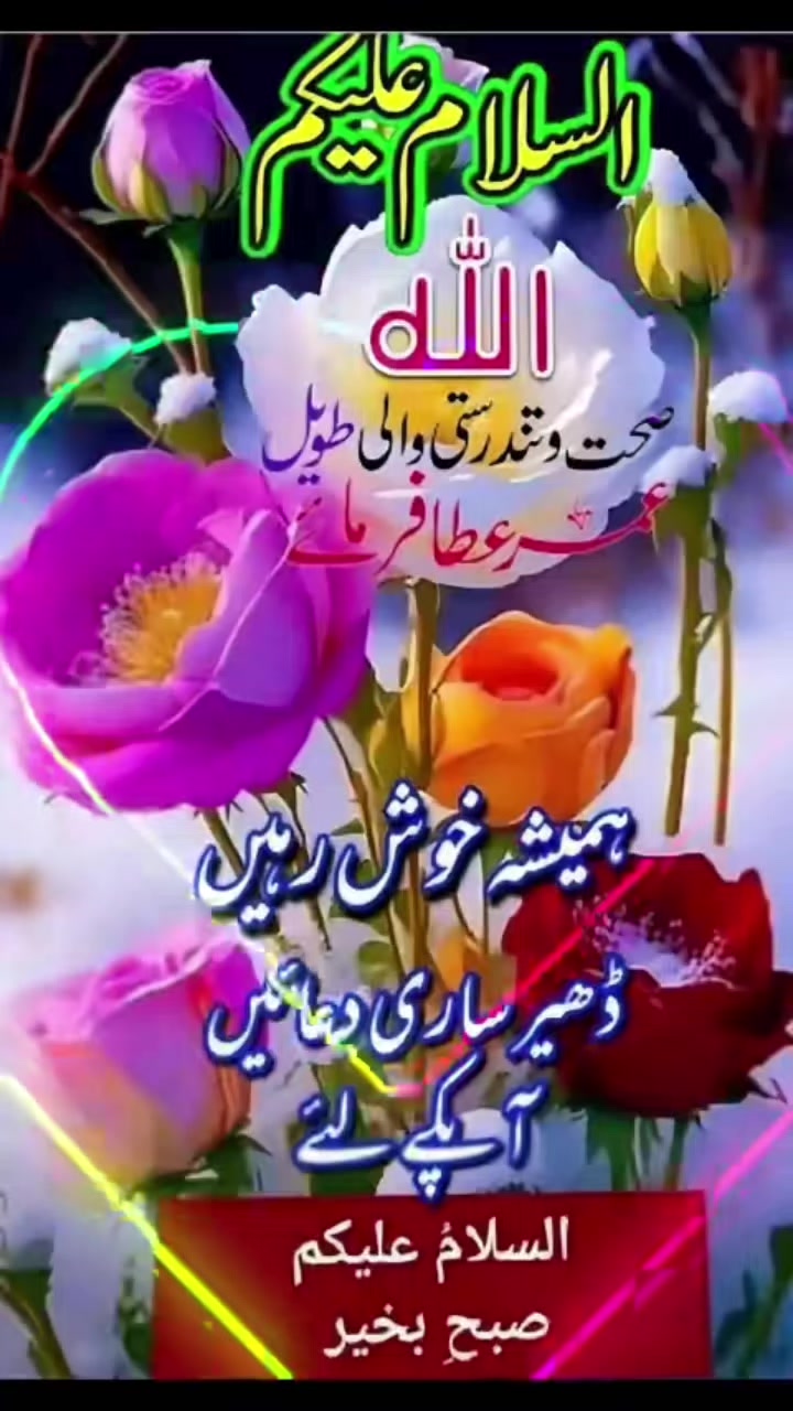 @malikmalik Yunus