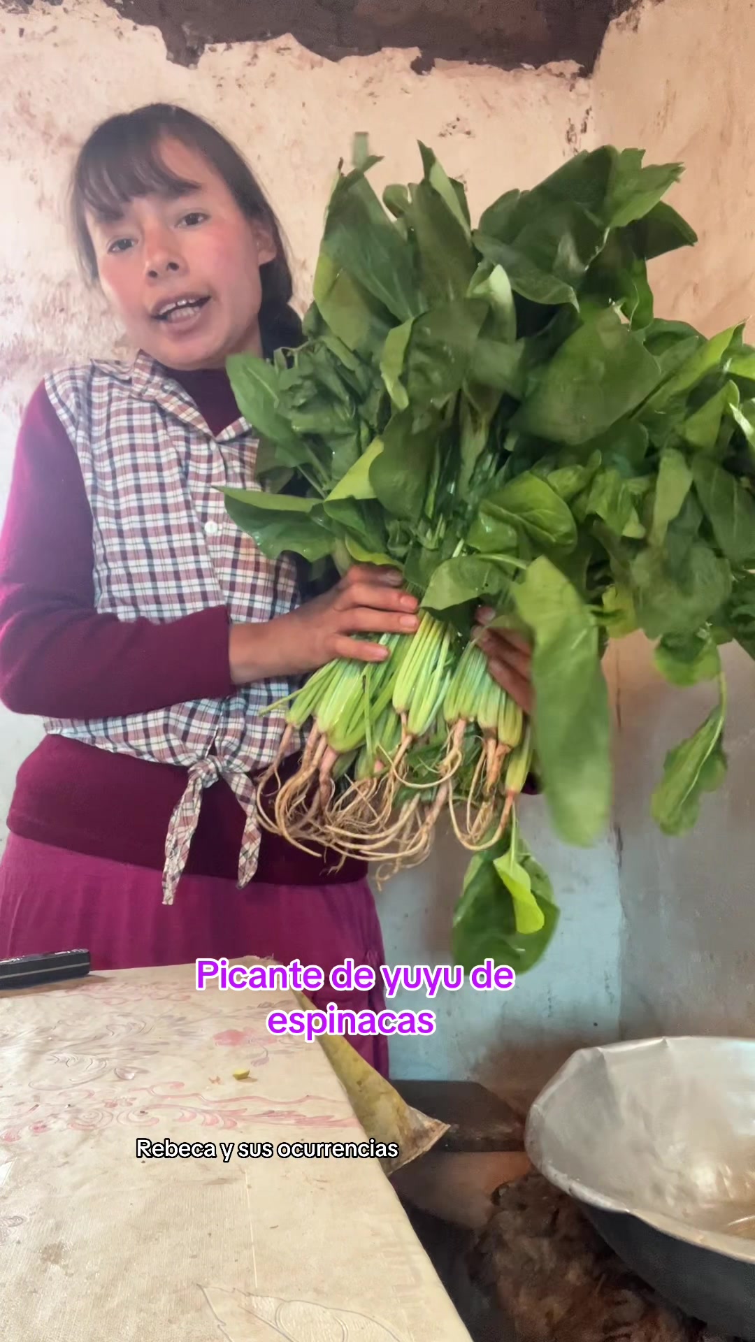 @🐈Rebeca y sus ocurrencias