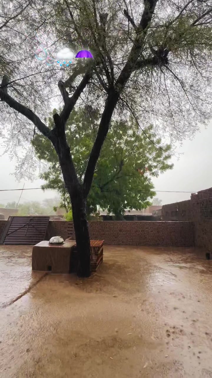 @nazam_joiya🇰🇬❤️🩹