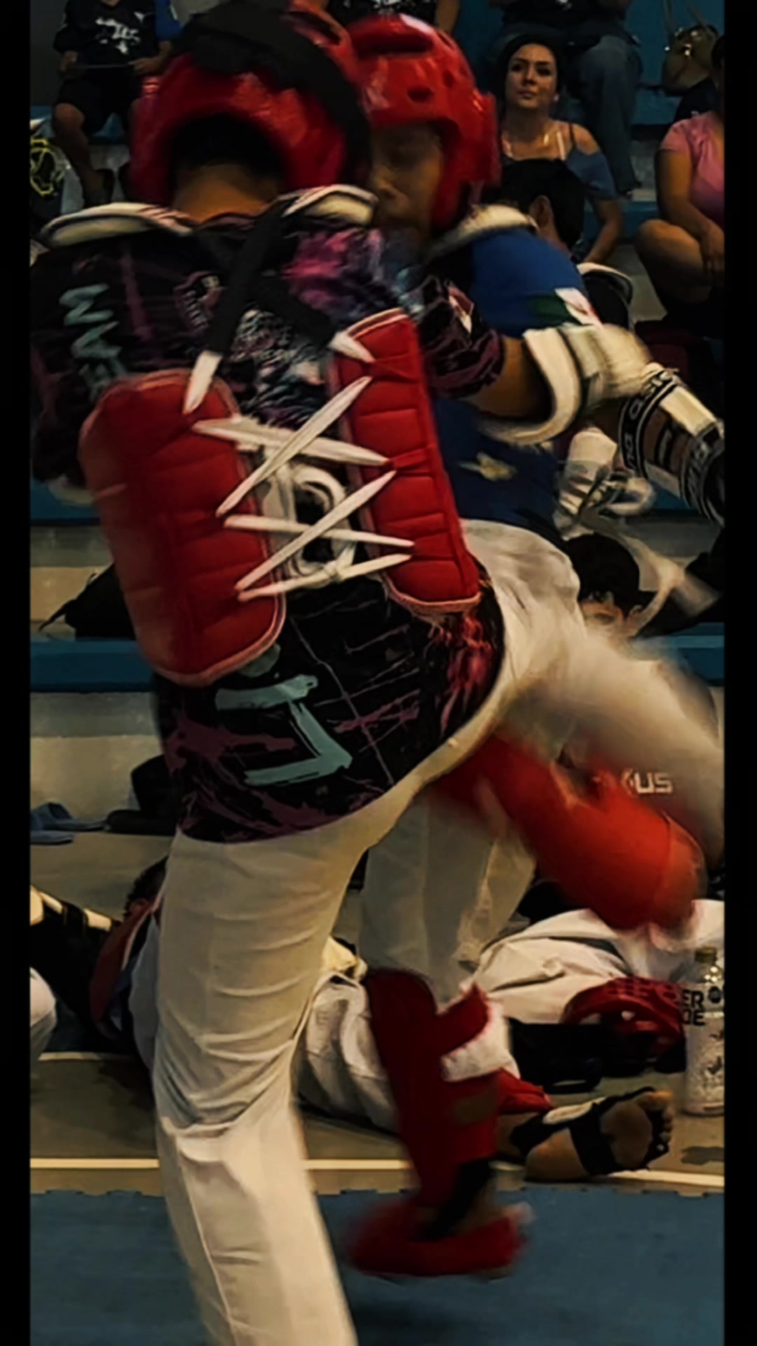 @taekwondolionsteam