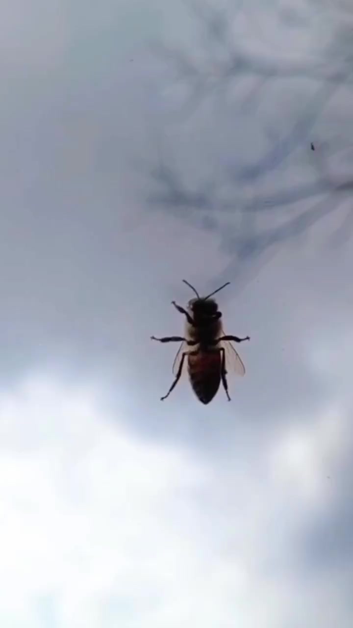 @Çiftliğim Benim