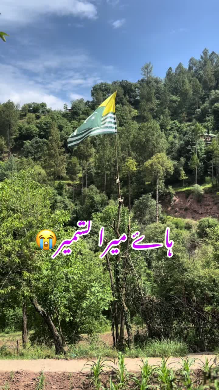 @Raja Tassaddiq 555