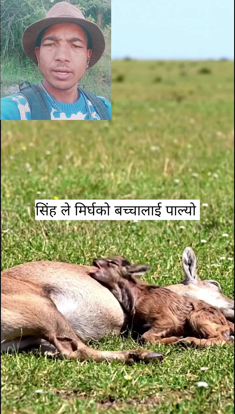 @raj xehttri