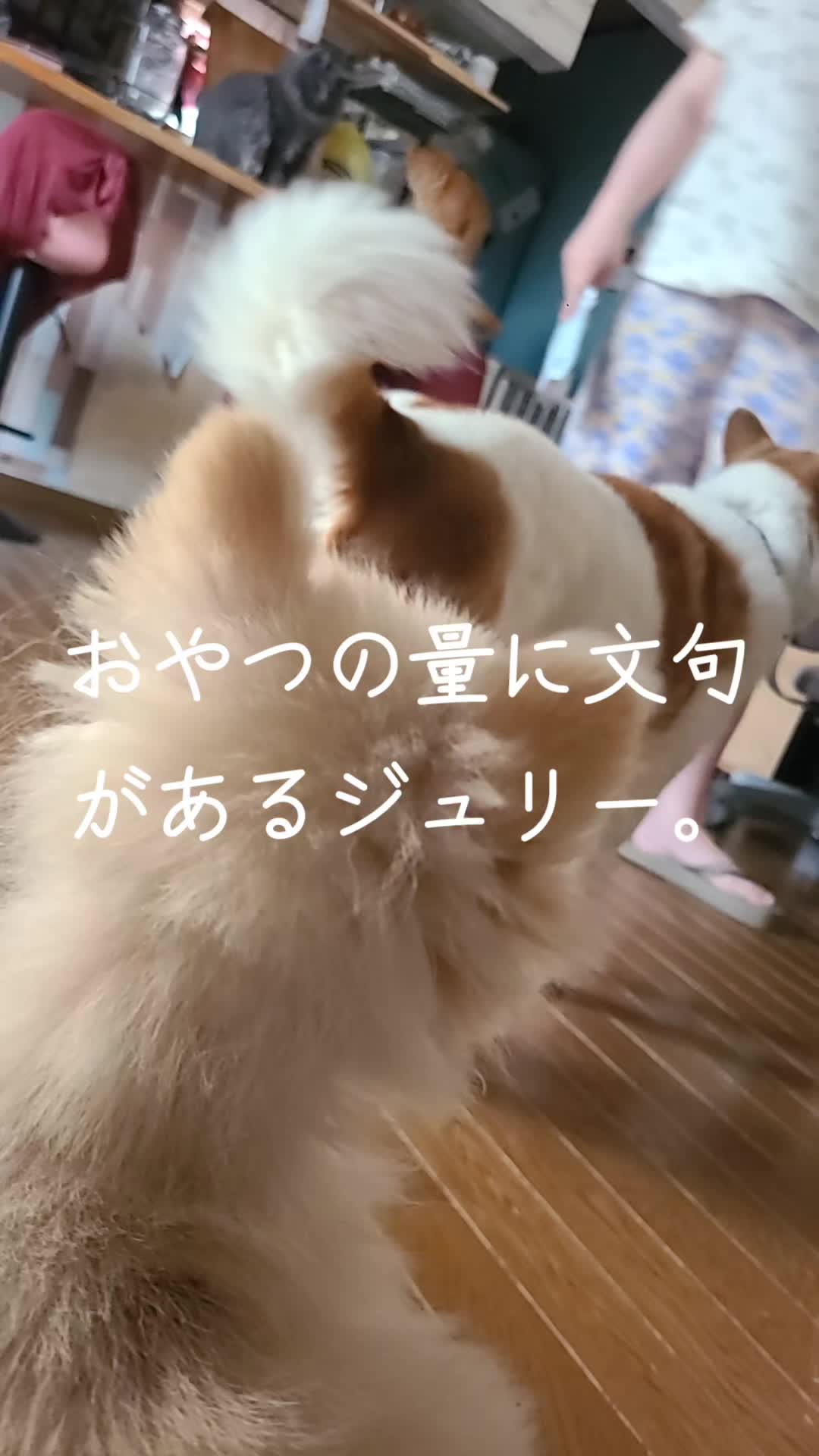 @沙亜代