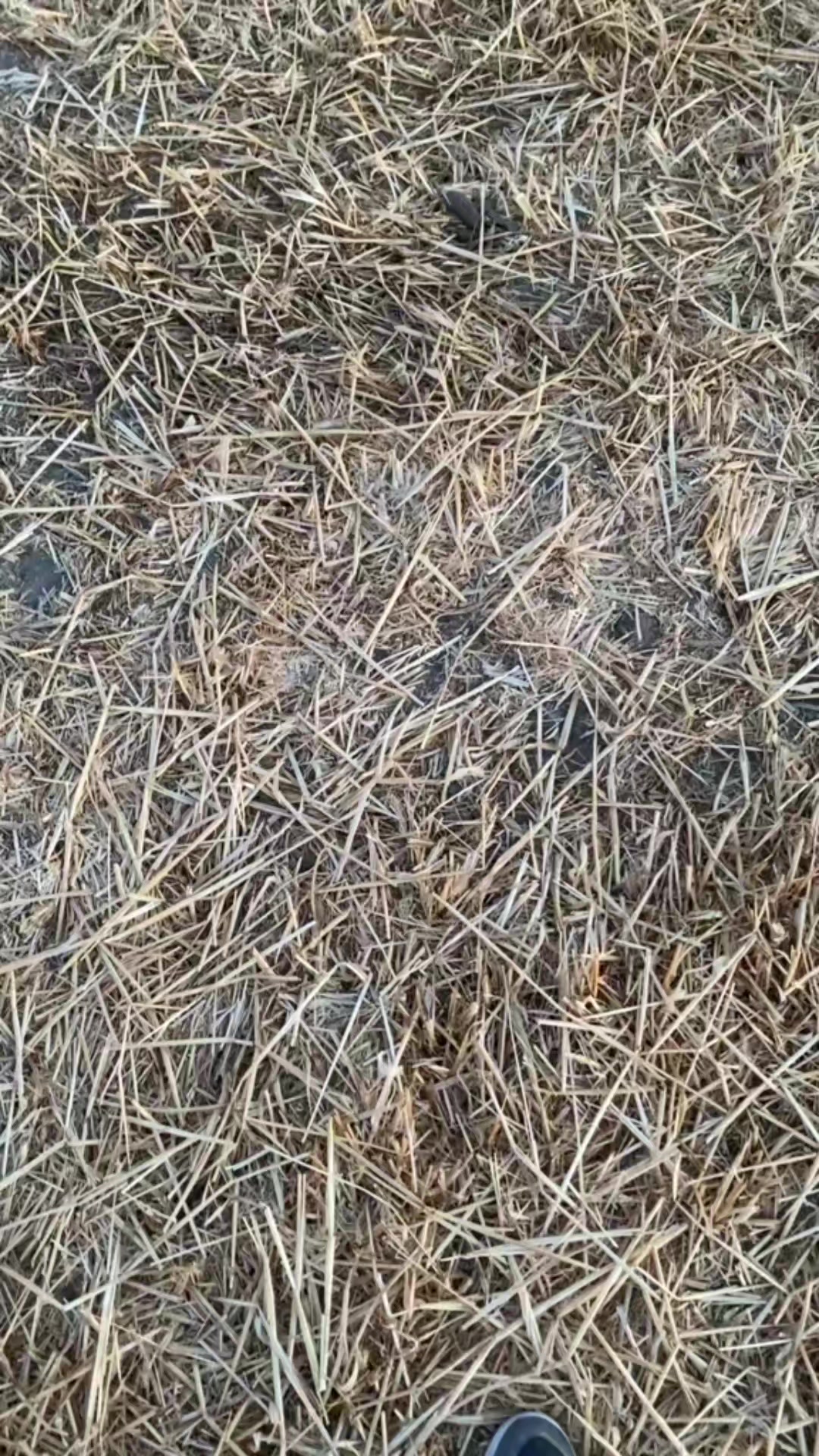 @GökHan🔥AkpıNar 💥 Teyyare 💥