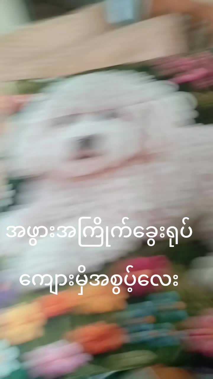 @2dလုံးပိုင်ရွေကျား official
